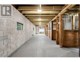 3016 Cole Road, East Gwillimbury, ON L0G1R0 Photo 26