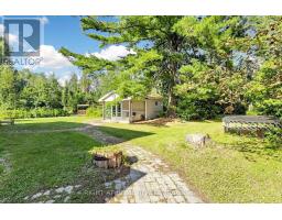 3016 Cole Road, East Gwillimbury, ON L0G1R0 Photo 31
