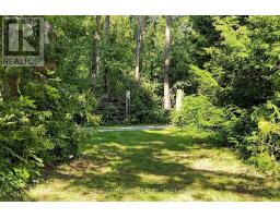3016 Cole Road, East Gwillimbury, ON L0G1R0 Photo 32