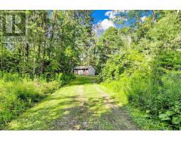 3016 Cole Road, East Gwillimbury, ON L0G1R0 Photo 35