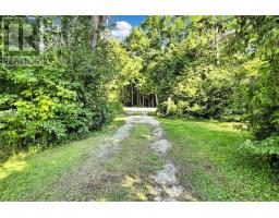 3016 Cole Road, East Gwillimbury, ON L0G1R0 Photo 38