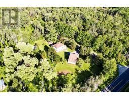 3016 Cole Road, East Gwillimbury, ON L0G1R0 Photo 43