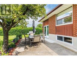 163 Floradale Drive, Mississauga, ON L5B1G2 Photo 38