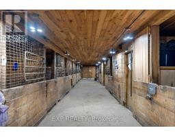 20771 Highway No. 17, Whitewater Region, ON K8A6W3 Photo 16