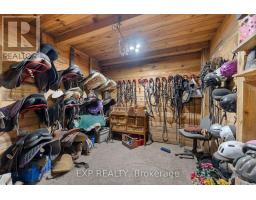 20771 Highway No. 17, Whitewater Region, ON K8A6W3 Photo 18