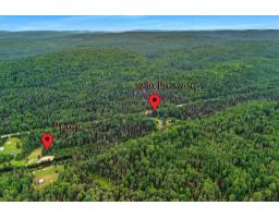 1264-1282 Ch. Picanoc, Otter Lake, QC J0X2P0 Photo 43