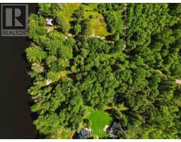 109 Black Bear Road, Magnetawan, ON P0A1P0 Photo 8