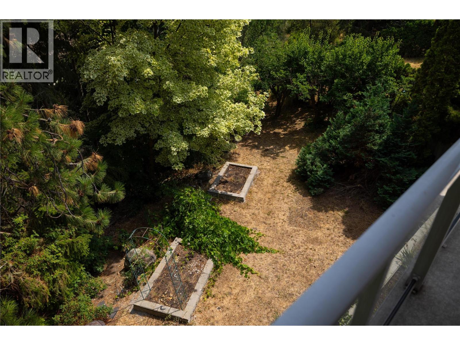 3439 McIver Road - 53