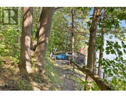 781 North Shore Road, Rideau Lakes, ON K0G1X0 Photo 44