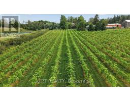 416476 10th Line S, Blue Mountains, ON N0H1J0 Photo 49