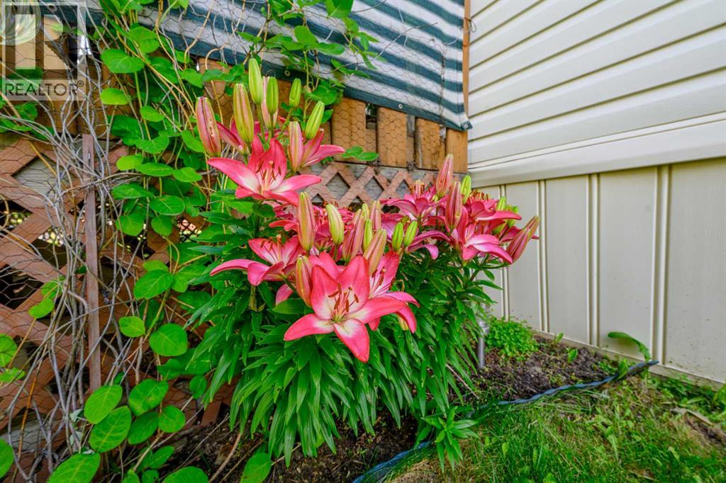 8505 90A Street - Image 30