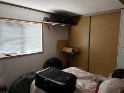 104146 Pth 16 Road, Minnedosa, MB R0J1E0 Photo 22