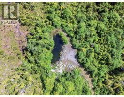 Dl 1699 Porcher Island, Prince Rupert, BC V0V1E0 Photo 6