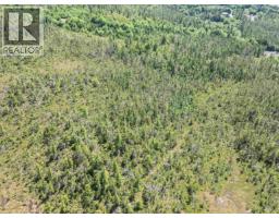 Dl 1699 Porcher Island, Prince Rupert, BC V0V1E0 Photo 12