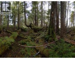 Dl 1302-1303 Goble Point, Prince Rupert, BC V0V1E0 Photo 27