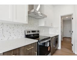 935 18 Av Nw, Edmonton, AB T6T2X3 Photo 16
