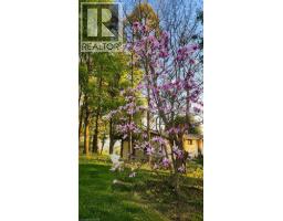 50 Oak Avenue, Dundas, ON L9H4Y9 Photo 32