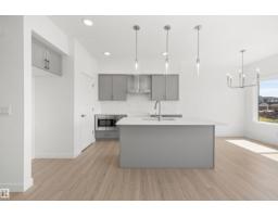 18923 28 Av Nw, Edmonton, AB T6M3H9 Photo 17