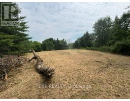 Lot 5 & 6 Rp 18 Noonan Road, Alnwick/haldimand, ON K0K3K0 Photo 10