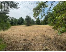 Lot 5 & 6 Rp 18 Noonan Road, Alnwick/haldimand, ON K0K3K0 Photo 6