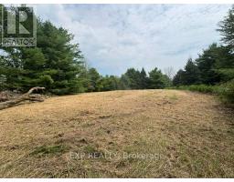 Lot 5 & 6 Rp 18 Noonan Road, Alnwick/haldimand, ON K0K3K0 Photo 7