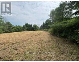 Lot 5 & 6 Rp 18 Noonan Road, Alnwick/haldimand, ON K0K3K0 Photo 8