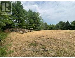 Lot 5 & 6 Rp 18 Noonan Road, Alnwick/haldimand, ON K0K3K0 Photo 9