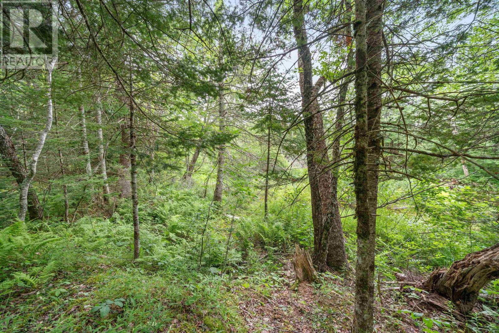 Property 37 of 49 of 1536 Stewiacke Road