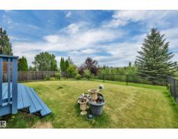 168 Rue Masson, Beaumont, AB T4X1W3 Photo 51