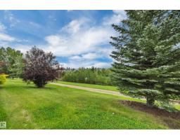 168 Rue Masson, Beaumont, AB T4X1W3 Photo 52