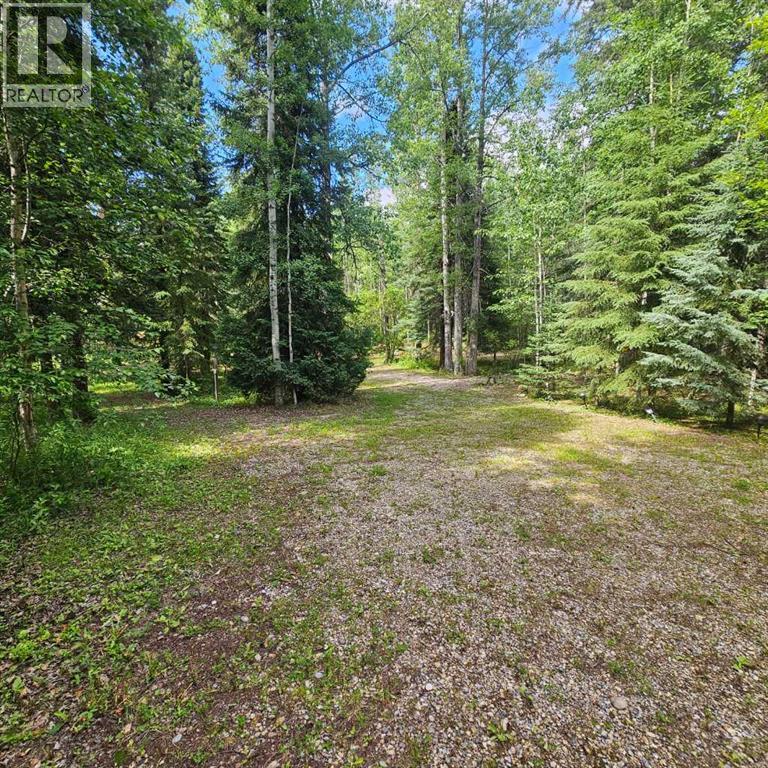 56031 Range Road 153 - Photo 36