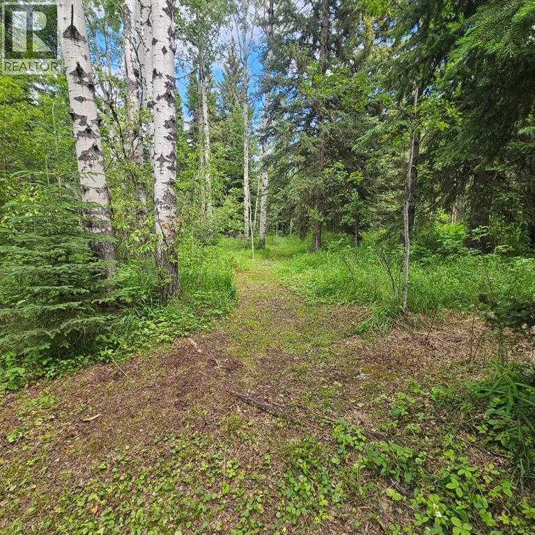 56031 Range Road 153 - Photo 34