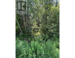 1 Lot 1 Concession 2 Part 4 Boundary Concession, Alfred And Plantagenet, ON K0B1L0 Photo 11