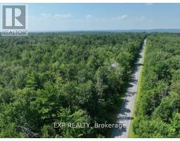 1 Lot 1 Concession 2 Part 4 Boundary Concession, Alfred And Plantagenet, ON K0B1L0 Photo 8
