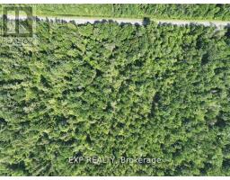 1 Lot 1 Concession 2 Part 4 Boundary Concession, Alfred And Plantagenet, ON K0B1L0 Photo 9