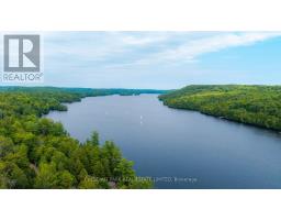 158a Ponacka Road, Hastings Highlands, ON K0L1P0 Photo 35