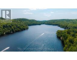 158a Ponacka Road, Hastings Highlands, ON K0L1P0 Photo 37