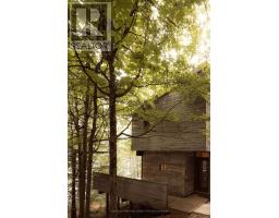 158a Ponacka Road, Hastings Highlands, ON K0L1P0 Photo 32