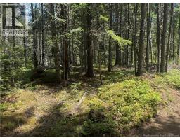 Na Portage Vale Rd., Portage Vale, NB E4G1Y3 Photo 6