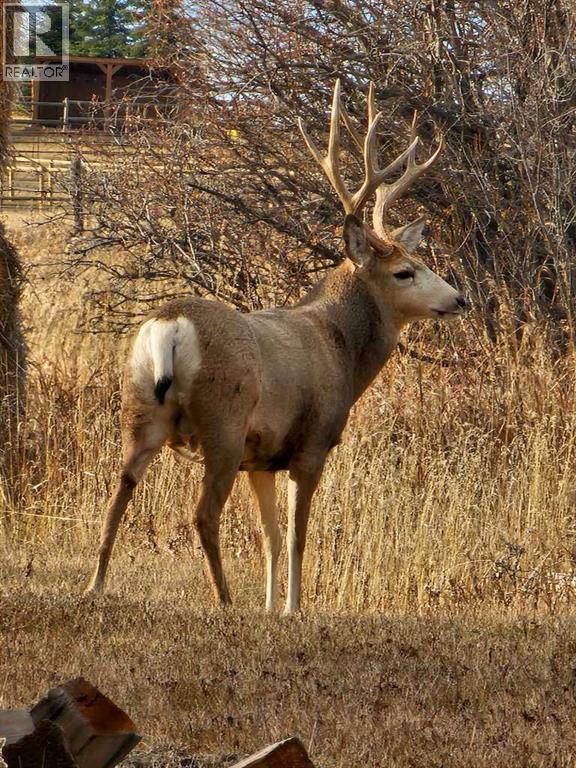 0 Hwy 783 Rural Foothills County - Photo 17