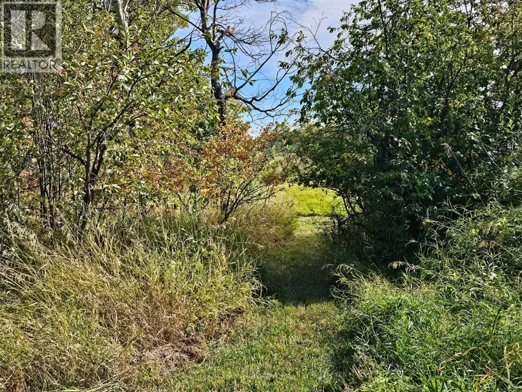 0 Hwy 783 Rural Foothills County - Photo 15