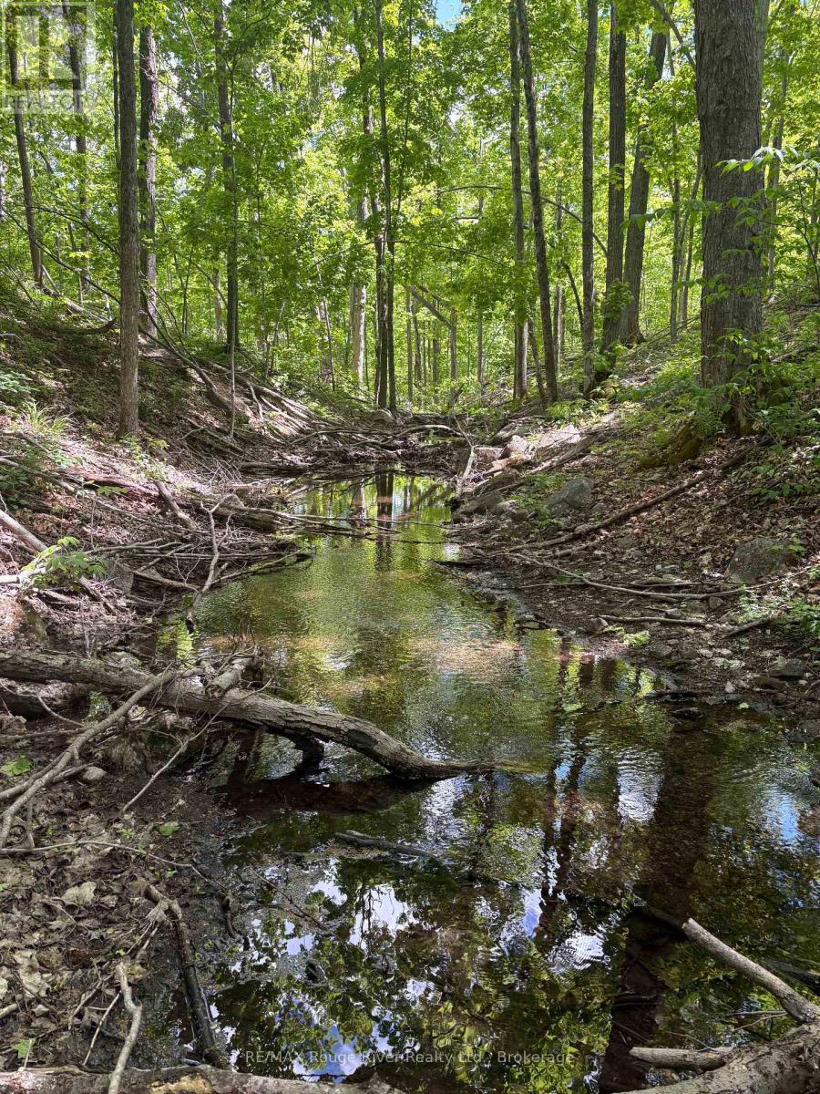 559 COUNTY ROAD 47 ROAD N - Image 37