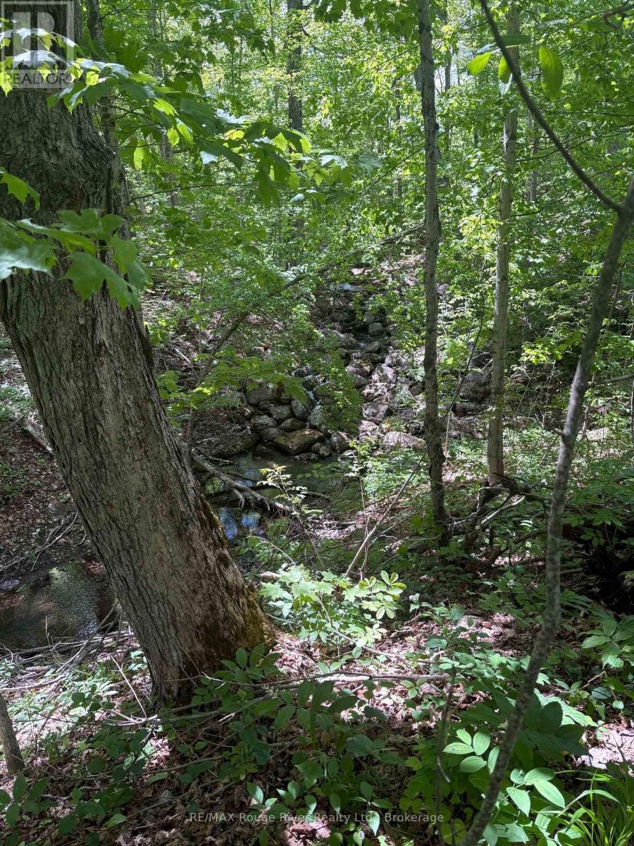 559 COUNTY ROAD 47 ROAD N - Image 36