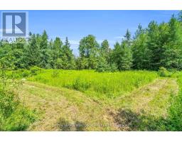 9483 Wellington Rd 124 Road, Erin, ON N0B1T0 Photo 17