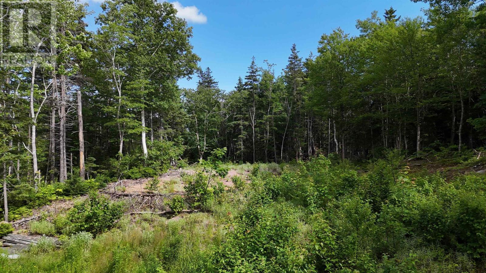 Lot 5 Cabot Trail, Ingonish — photo 3