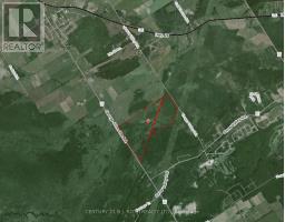 2361 George Johnston Road, Springwater, ON L0L1Y0 Photo 13
