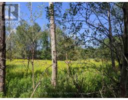 2361 George Johnston Road, Springwater, ON L0L1Y0 Photo 15