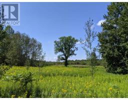 2361 George Johnston Road, Springwater, ON L0L1Y0 Photo 16