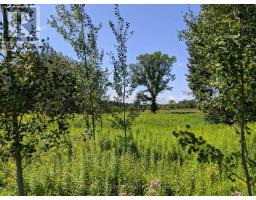 2361 George Johnston Road, Springwater, ON L0L1Y0 Photo 17