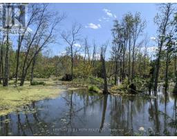 2361 George Johnston Road, Springwater, ON L0L1Y0 Photo 19